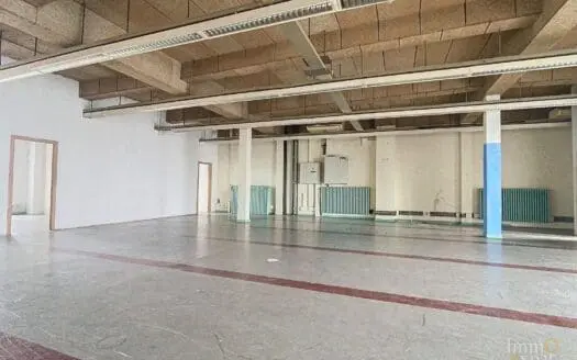 Industriel à louer  375 m², 3000 €
